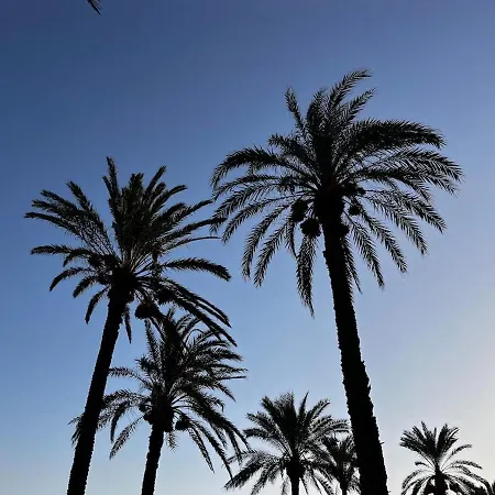 شقة Costa Blanca تورّيفيِخا